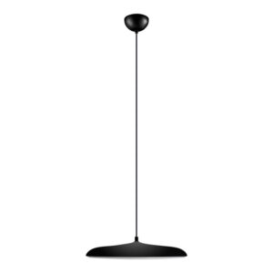 Подвесной светильник LOFT IT 10119 Black Подвесной светильник LOFT IT 10119 Black