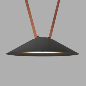 Светильник на шине Denkirs DK5565-BK Светильник на шине Denkirs DK5565-BK