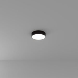 Накладной светильник ARTE Lamp A6620PL-1BK