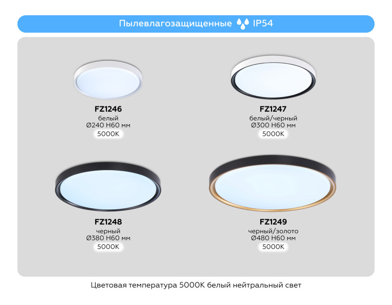 Накладной светильник Ambrella Light FZ1249 Накладной светильник Ambrella Light FZ1249 — изображение 2