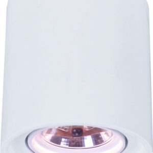 Накладной светильник ARTE Lamp A9262PL-1WH Накладной светильник ARTE Lamp A9262PL-1WH