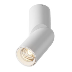 Накладной светильник Maytoni Technical C027CL-L10W Накладной светильник Maytoni Technical C027CL-L10W