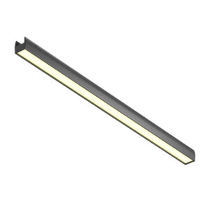 Светильник на шине Maytoni Technical TR161-1-25W3K-B Светильник на шине Maytoni Technical TR161-1-25W3K-B