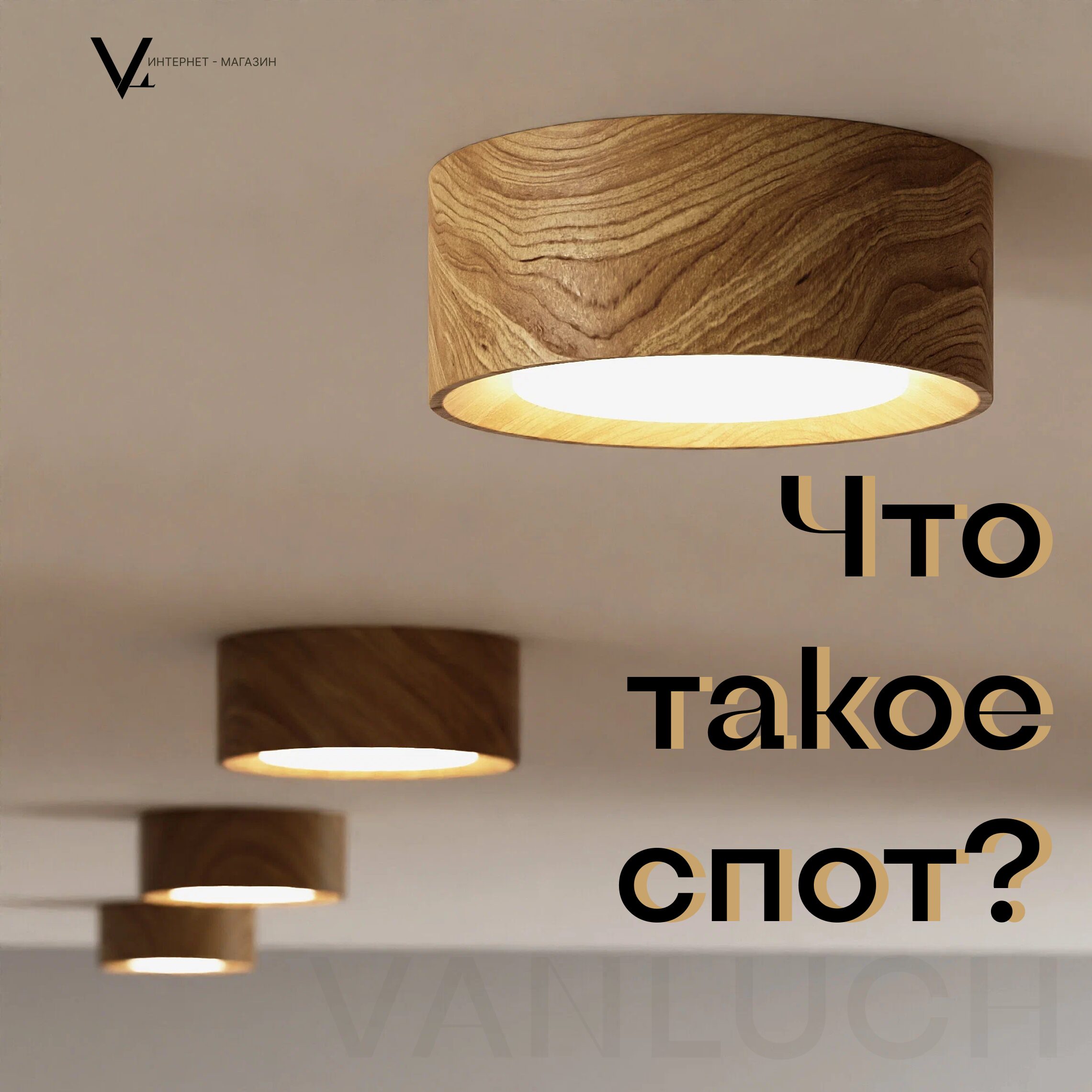 Что такое спот?